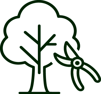 Poda de árboles y arbustos