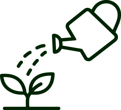 Riego y Mantenimiento de Jardines